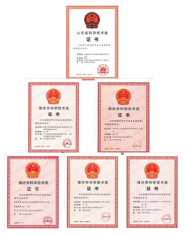 [good news] Longgang silicon Co., Ltd. won the first prize of Weifang Science and Technology Progress Award！