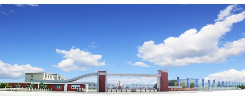 回首過去，不忘初心；展望未來，砥礪前行丨2019，龍港再出發(fā)！