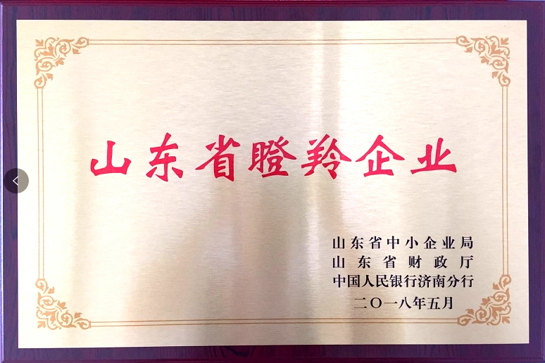回首過去，不忘初心；展望未來，砥礪前行丨2019，龍港再出發(fā)！