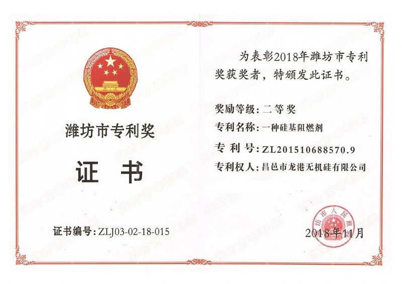 回首過去，不忘初心；展望未來，砥礪前行丨2019，龍港再出發(fā)！
