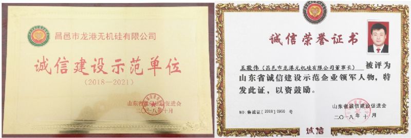 回首過去，不忘初心；展望未來，砥礪前行丨2019，龍港再出發(fā)！
