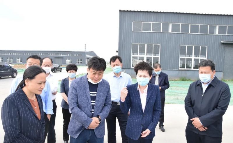 市領(lǐng)導到龍港新材料調(diào)研全市重大項目建設(shè)推進情況