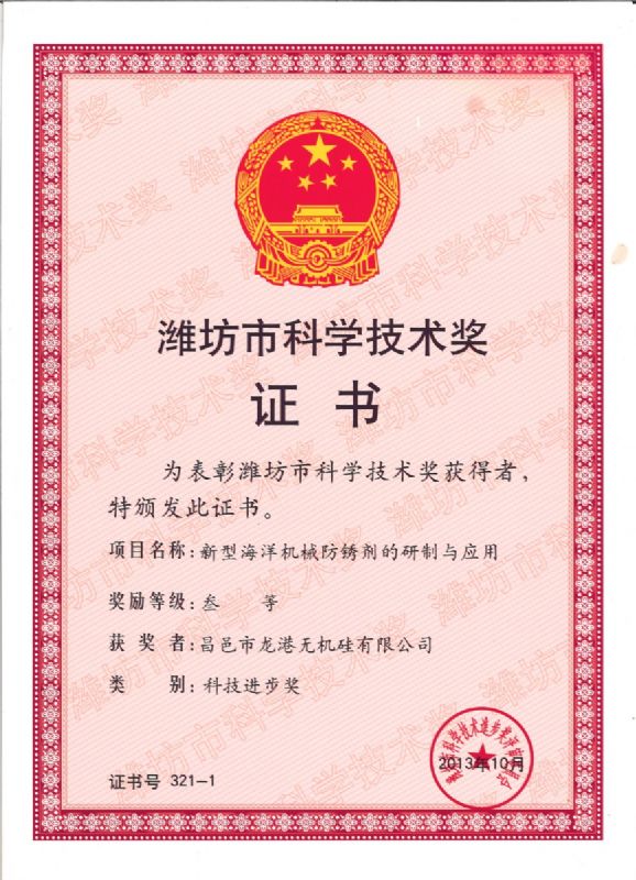 【喜訊】龍港硅業(yè)公司喜獲濰坊市科技進步獎一等獎！