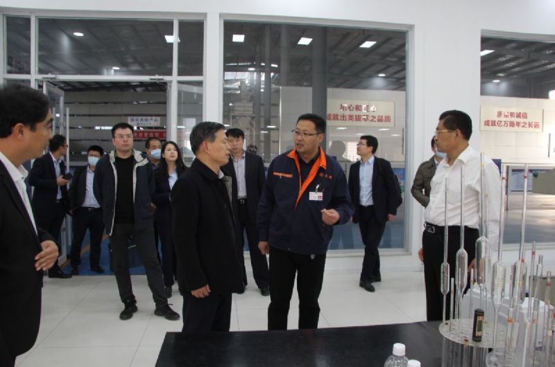 省工信廳領(lǐng)導到龍港硅業(yè)公司開展上市培育和投rongzi調(diào)研及對接服務